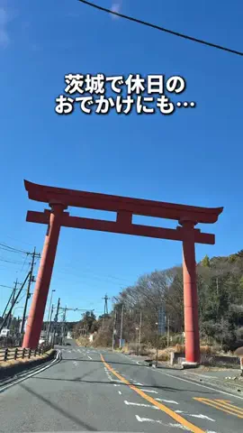 茨城バズグルメ suniのTikTok投稿