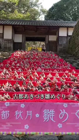 ＪＪのおでかけのTikTok投稿