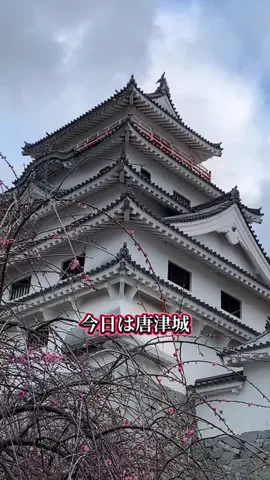 ＪＪのおでかけのTikTok投稿