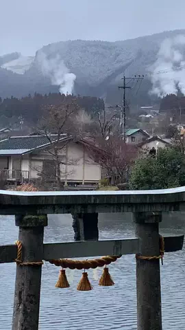 ＪＪのおでかけのTikTok投稿
