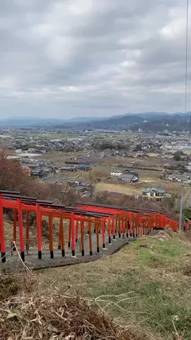 ＪＪのおでかけのTikTok投稿