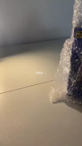 らんのTikTok投稿