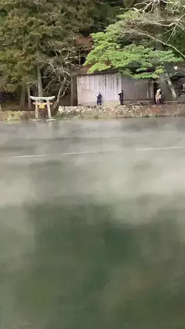ＪＪのおでかけのTikTok投稿