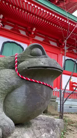 ＪＪのおでかけのTikTok投稿