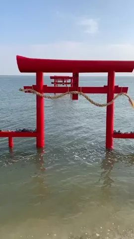 ＪＪのおでかけのTikTok投稿