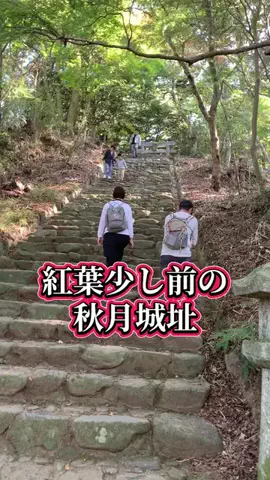 ＪＪのおでかけのTikTok投稿
