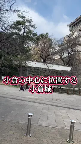 ＪＪのおでかけのTikTok投稿