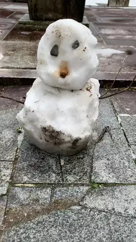 ＪＪのおでかけのTikTok投稿