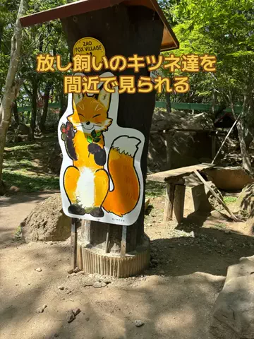 ポイけしき♨️宿図鑑のTikTok投稿