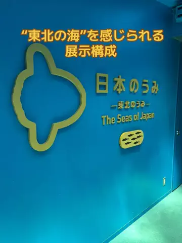 ポイけしき♨️宿図鑑のTikTok投稿