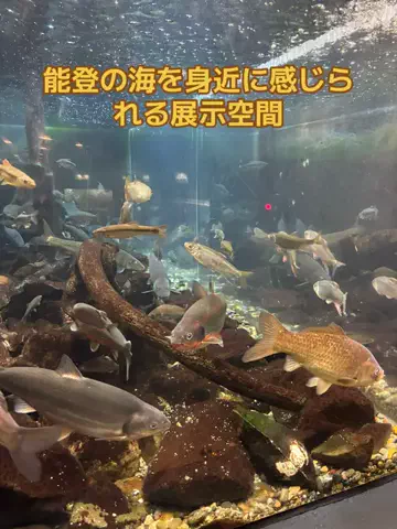 ポイけしき♨️宿図鑑のTikTok投稿