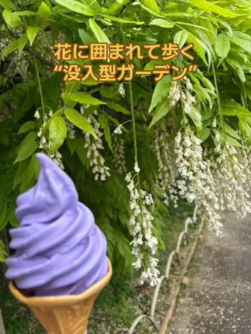 ポイけしき♨️宿図鑑のTikTok投稿