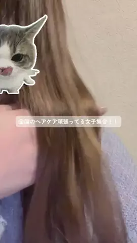 みるくてゃん🍼🎀のTikTok投稿