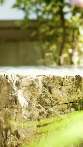 ポールの浪漫のTikTok投稿
