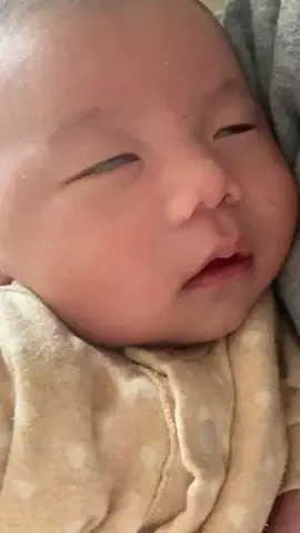 さくもぐのおうちのTikTok投稿