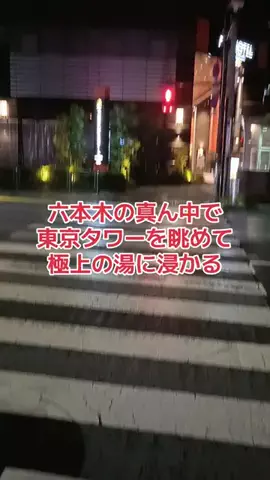 野良猫　イチくんとナナちゃんのTikTok投稿