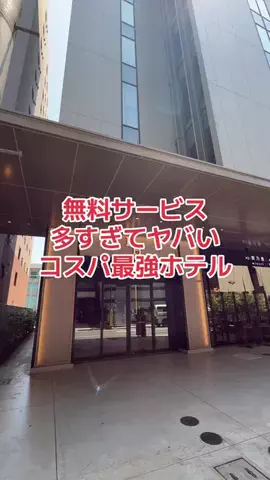 野良猫　イチくんとナナちゃんのTikTok投稿