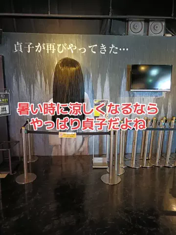 野良猫　イチくんとナナちゃんのTikTok投稿
