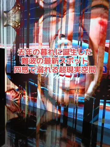 野良猫　イチくんとナナちゃんのTikTok投稿