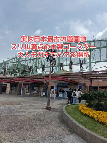 野良猫　イチくんとナナちゃんのTikTok投稿