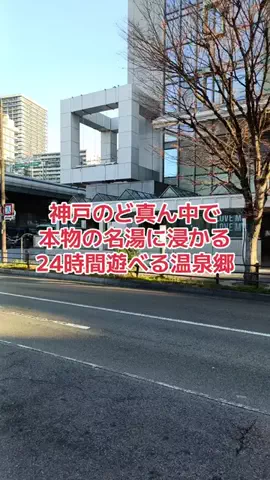 野良猫　イチくんとナナちゃんのTikTok投稿