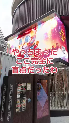 野良猫　イチくんとナナちゃんのTikTok投稿