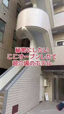 野良猫　イチくんとナナちゃんのTikTok投稿