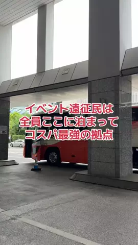 野良猫　イチくんとナナちゃんのTikTok投稿
