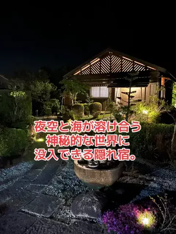 野良猫　イチくんとナナちゃんのTikTok投稿
