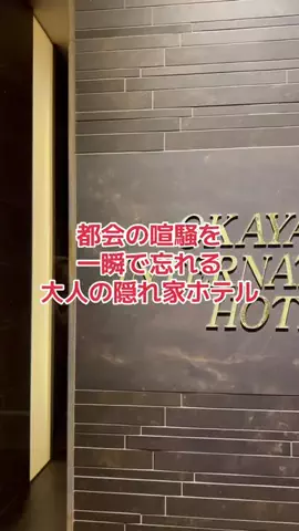 野良猫　イチくんとナナちゃんのTikTok投稿