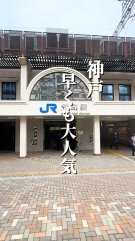 めぐっぺのTikTok投稿