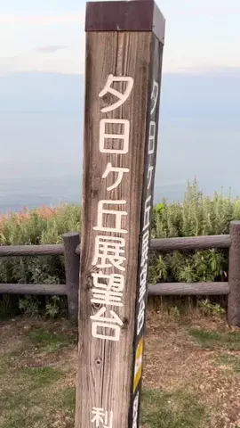 おとけしきのTikTok投稿