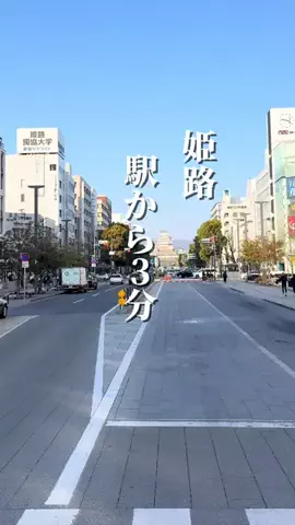 めぐっぺのTikTok投稿