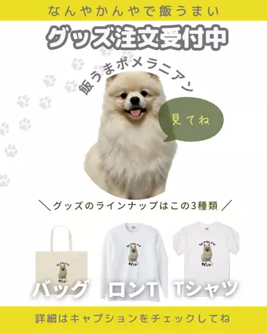 ✌️🎪サトミ✿フォロバ✌️🎪のTikTok投稿