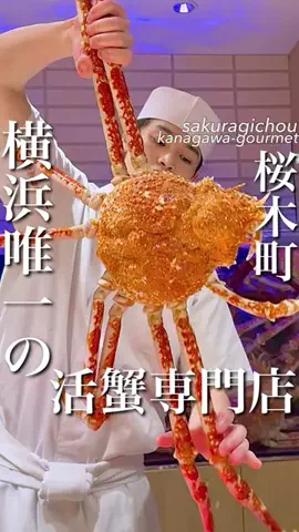 横浜グルメ/神奈川グルメ【公式】のTikTok投稿