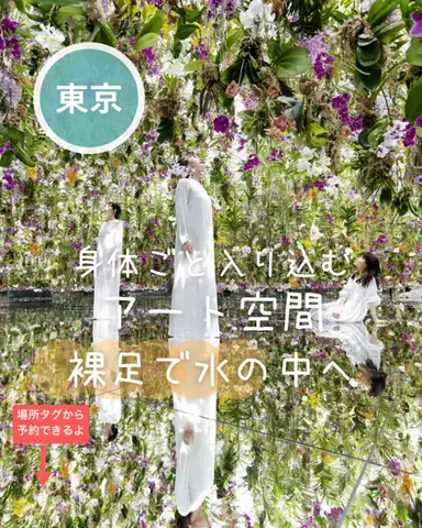ペリー来航のTikTok投稿