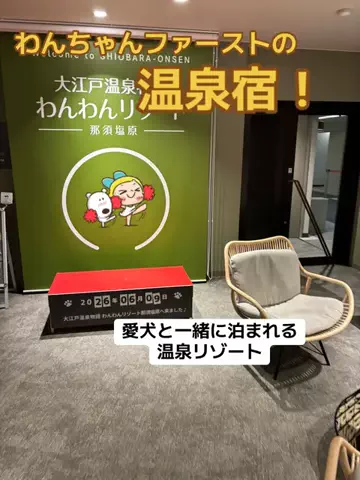 おとけしきのTikTok投稿