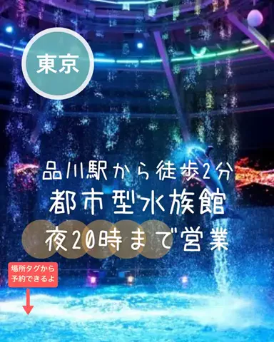 ペリー来航のTikTok投稿