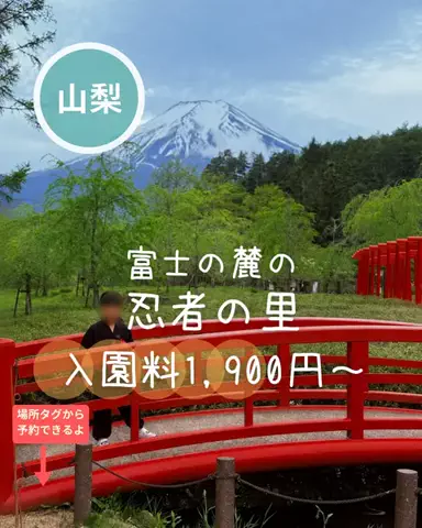 ペリー来航のTikTok投稿
