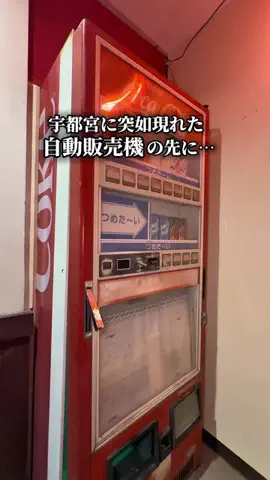 栃木グルメのTikTok投稿