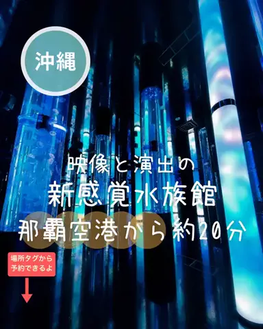 ペリー来航のTikTok投稿