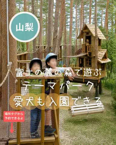 ペリー来航のTikTok投稿