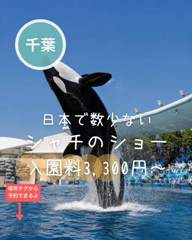 ペリー来航のTikTok投稿