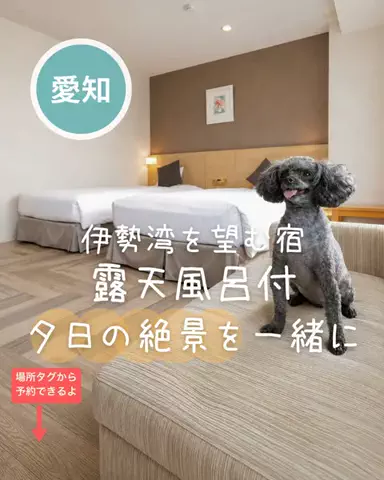 ペリー来航のTikTok投稿