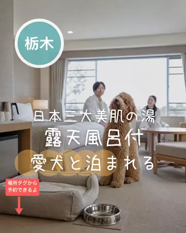ペリー来航のTikTok投稿