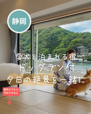ペリー来航のTikTok投稿