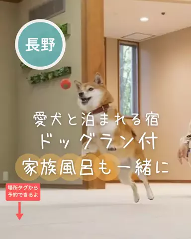 ペリー来航のTikTok投稿
