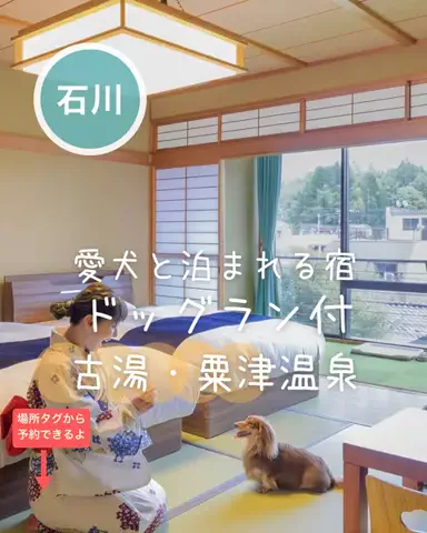 ペリー来航のTikTok投稿