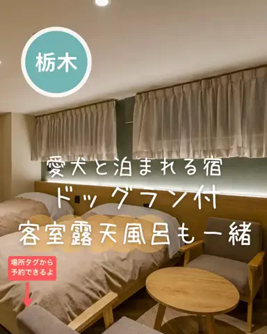 ペリー来航のTikTok投稿