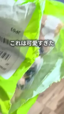 ちゃちゃ| ３兄弟と戦うズボラ母のTikTok投稿